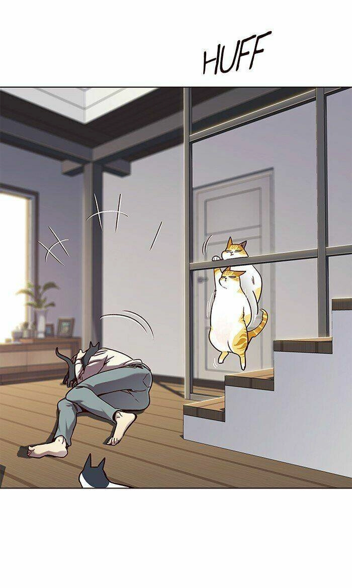 Hoá Thân Thành Mèo Chapter 64 - 53