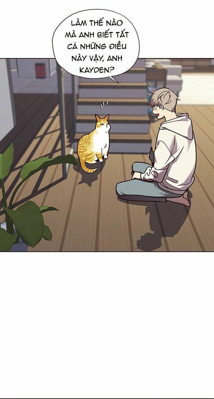 Hoá Thân Thành Mèo Chapter 64 - 60