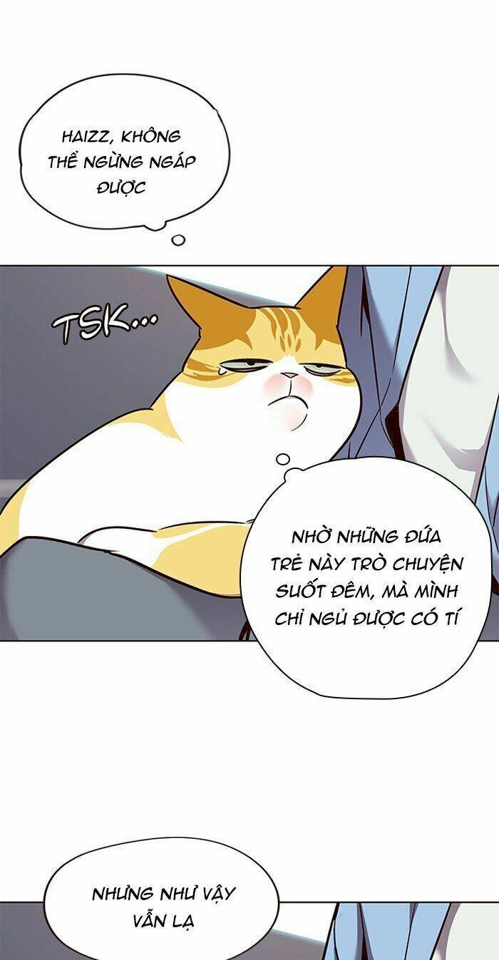 Hoá Thân Thành Mèo Chapter 67 - 47