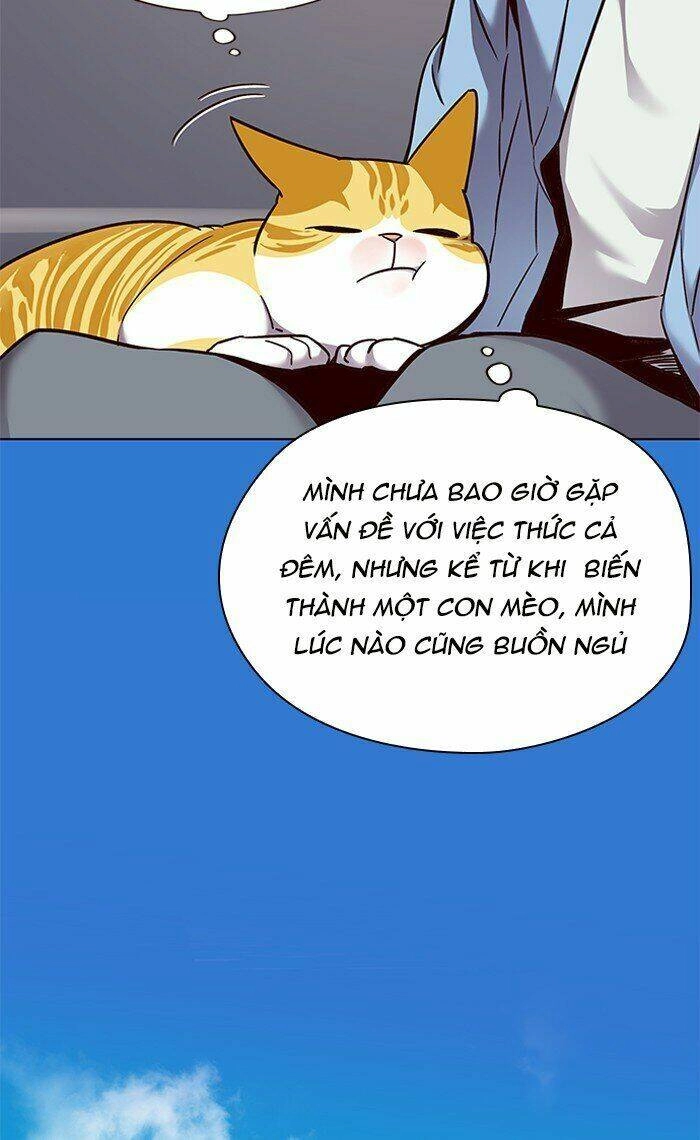 Hoá Thân Thành Mèo Chapter 67 - 48