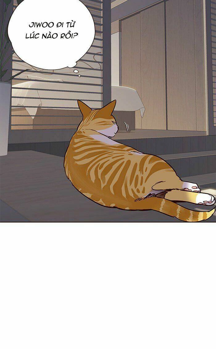 Hoá Thân Thành Mèo Chapter 70 - 5