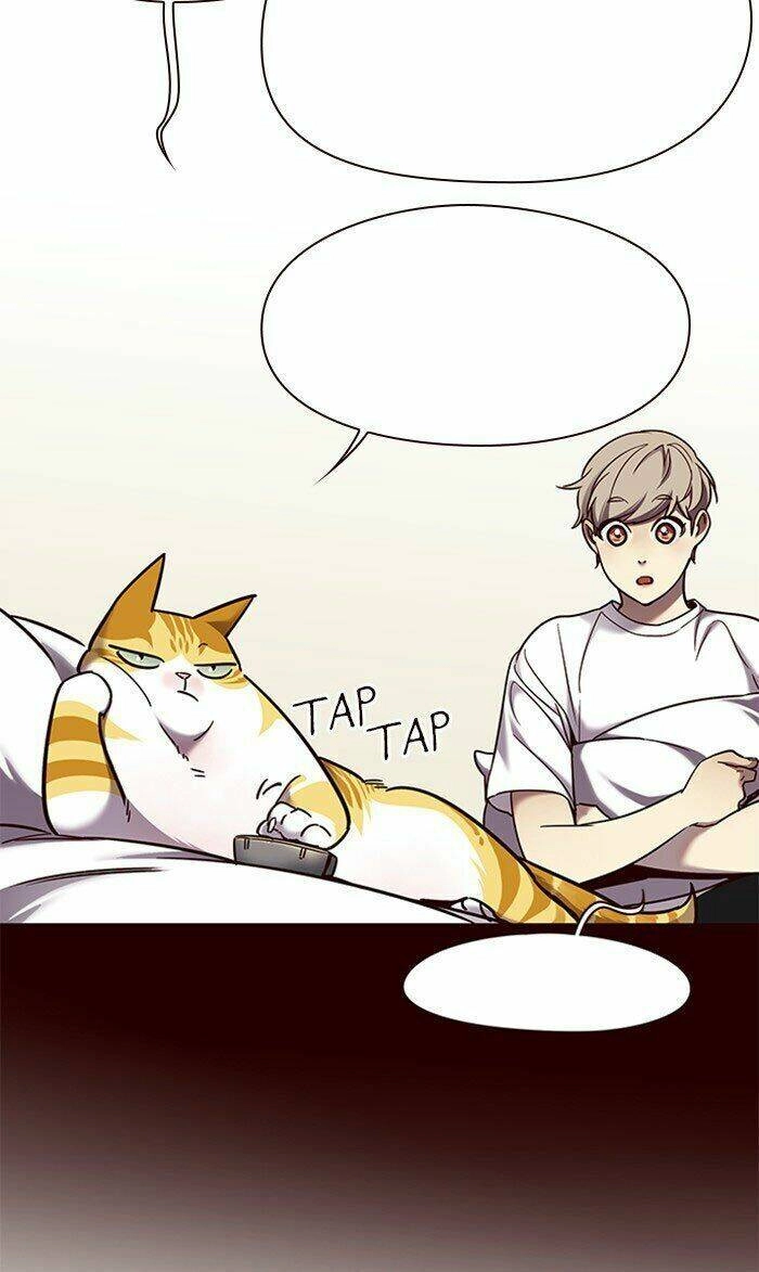 Hoá Thân Thành Mèo Chapter 75 - 43