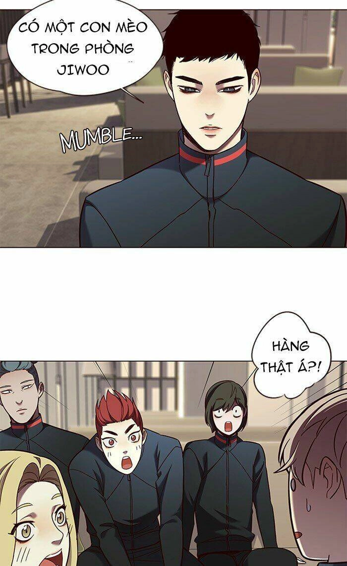 Hoá Thân Thành Mèo Chapter 78 - 73