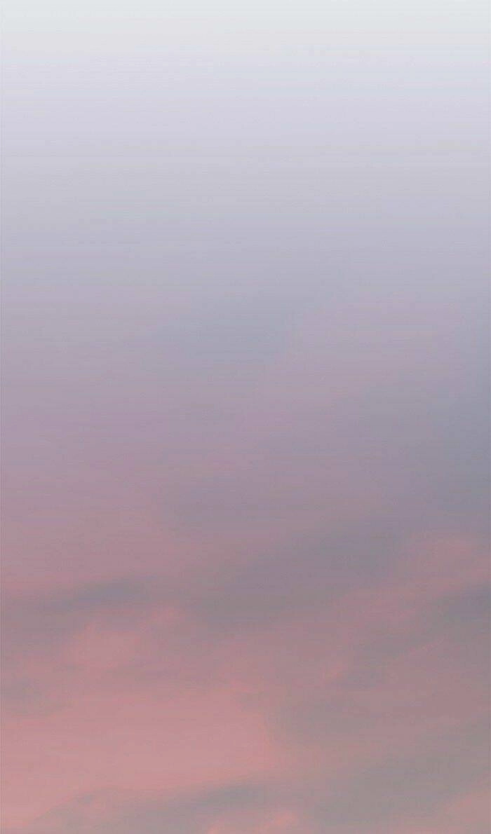 Hoá Thân Thành Mèo Chapter 80 - 24