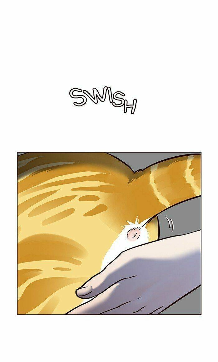 Hoá Thân Thành Mèo Chapter 80 - 83