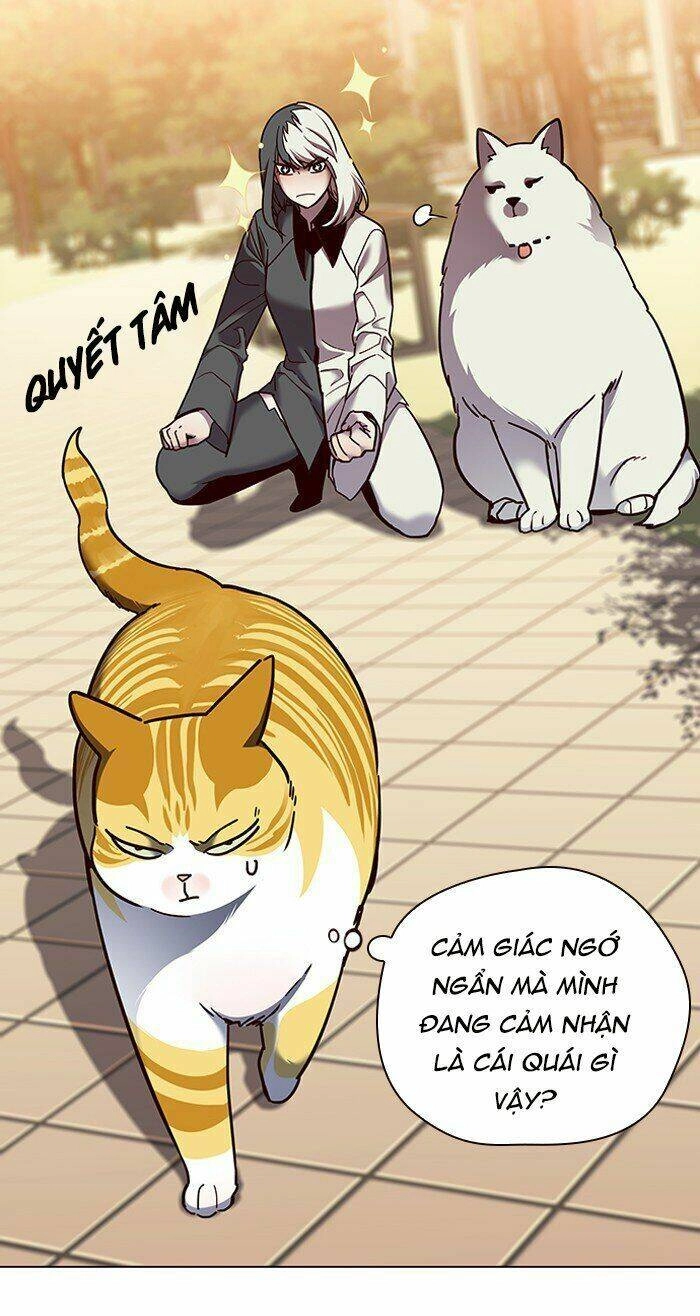 Hoá Thân Thành Mèo Chapter 81 - 11