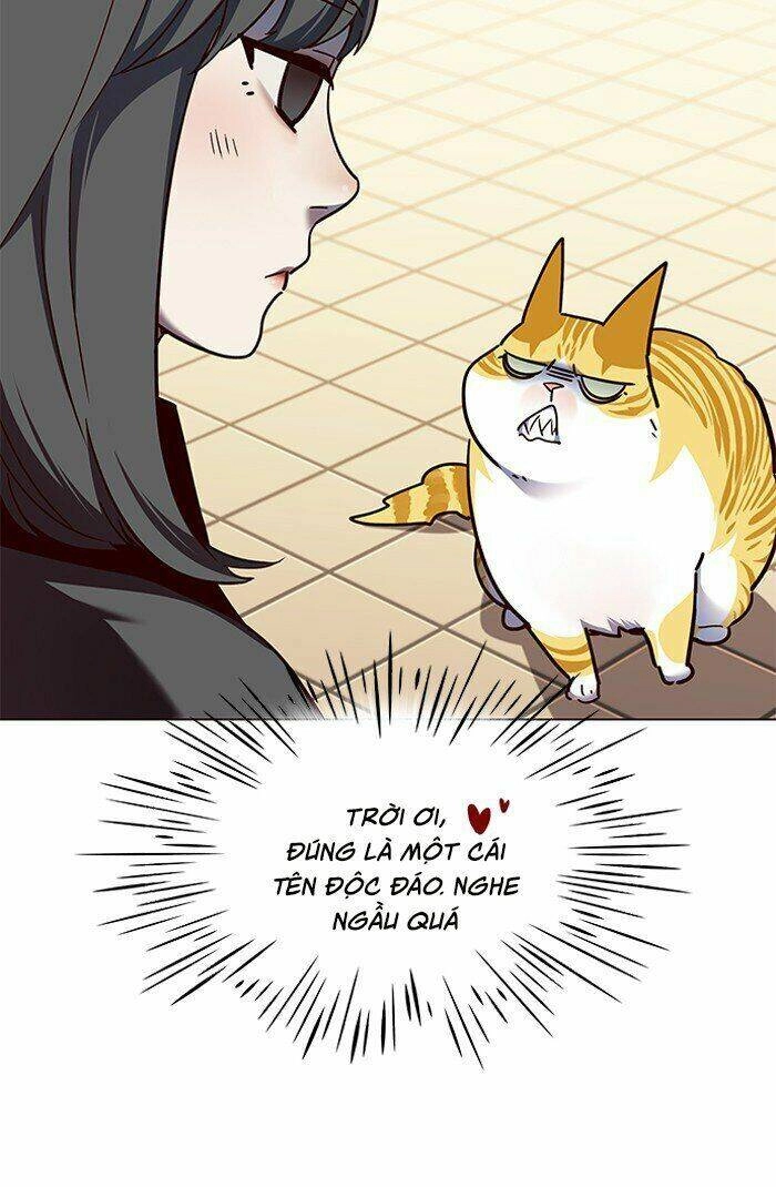 Hoá Thân Thành Mèo Chapter 81 - 22