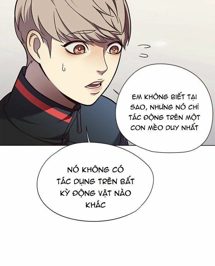 Hoá Thân Thành Mèo Chapter 81 - 84