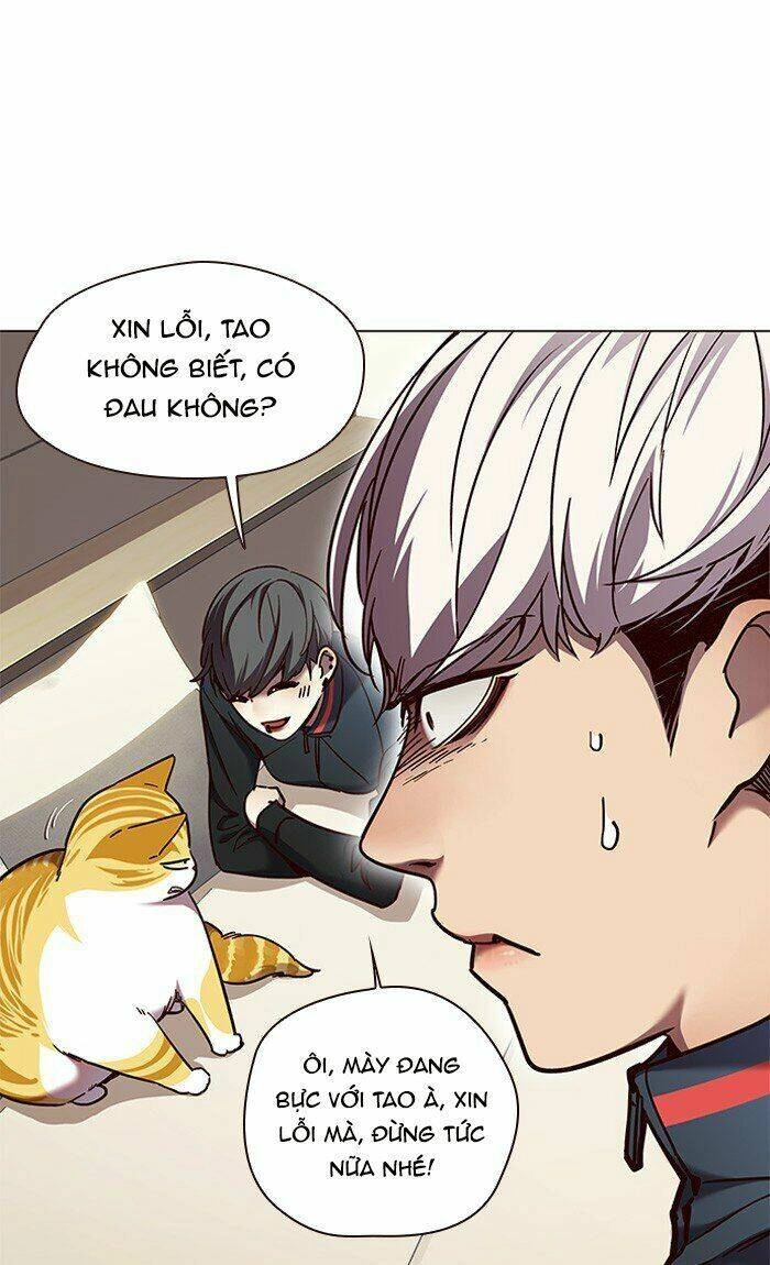 Hoá Thân Thành Mèo Chapter 82 - 51