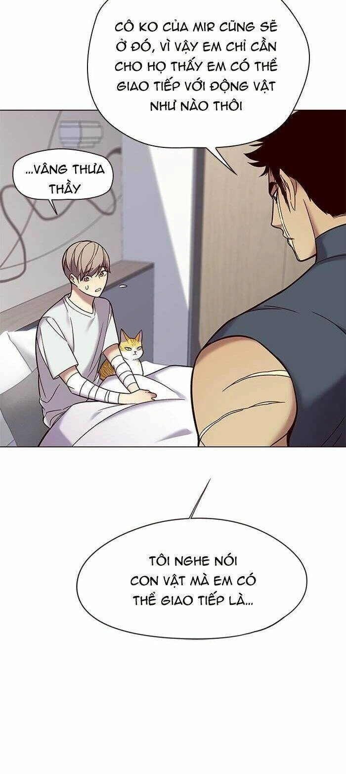 Hoá Thân Thành Mèo Chapter 89 - 14