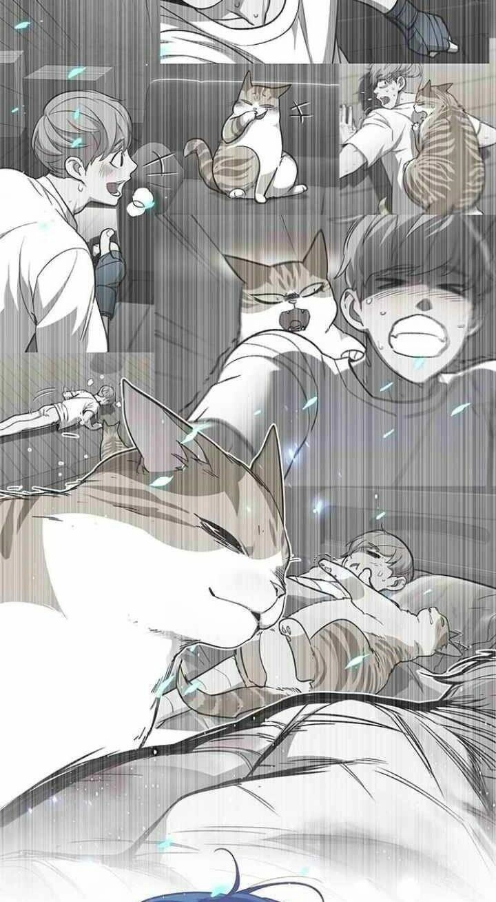 Hoá Thân Thành Mèo Chapter 93 - 37