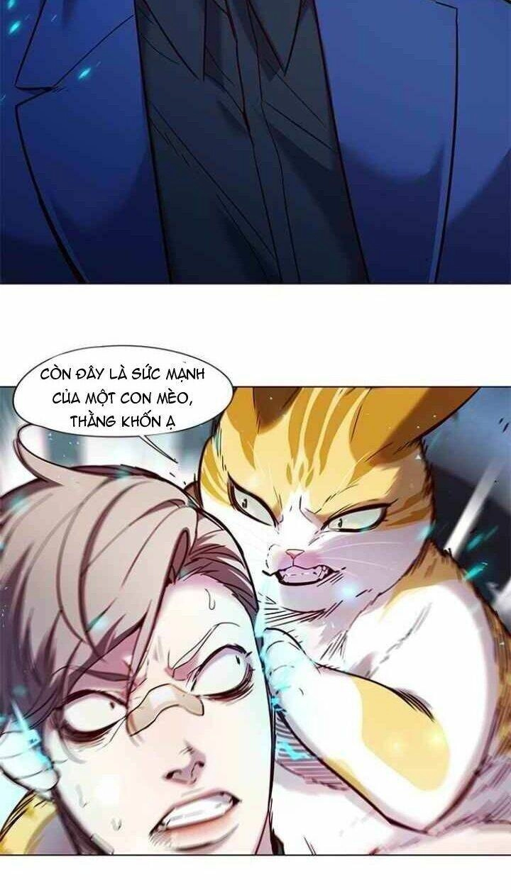 Hoá Thân Thành Mèo Chapter 93 - 53