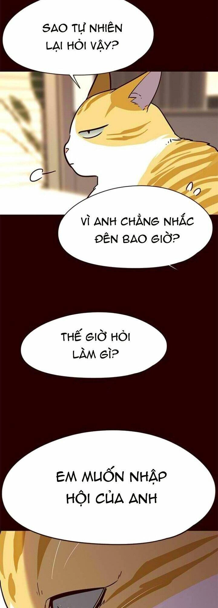 Hoá Thân Thành Mèo Chapter 96 - 10
