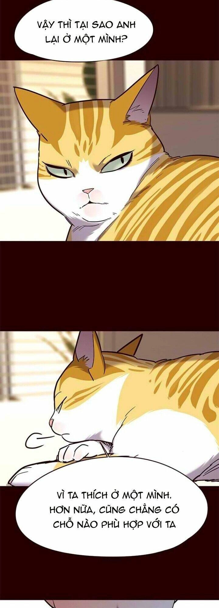 Hoá Thân Thành Mèo Chapter 96 - 14