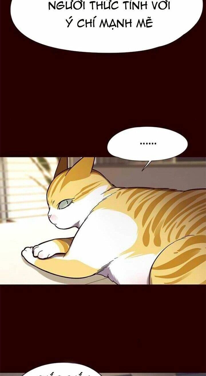 Hoá Thân Thành Mèo Chapter 96 - 16