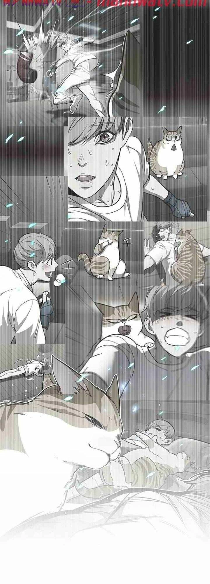 Hoá Thân Thành Mèo Chapter 99 - 53