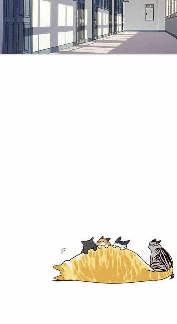 Hoá Thân Thành Mèo Chapter 100 - 54