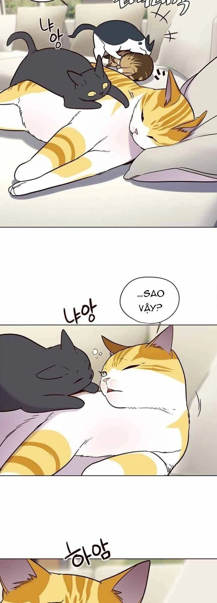 Hoá Thân Thành Mèo Chapter 101 - 4