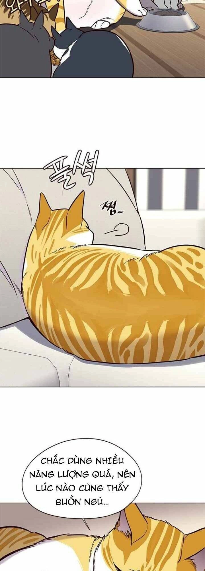 Hoá Thân Thành Mèo Chapter 101 - 7