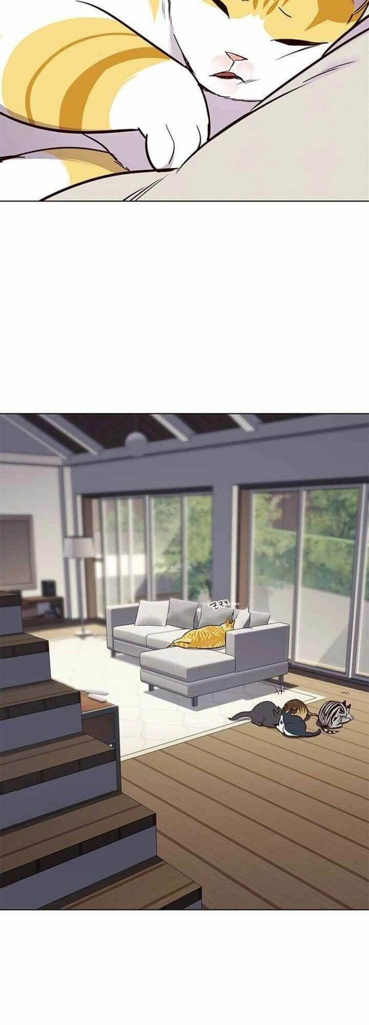 Hoá Thân Thành Mèo Chapter 101 - 8