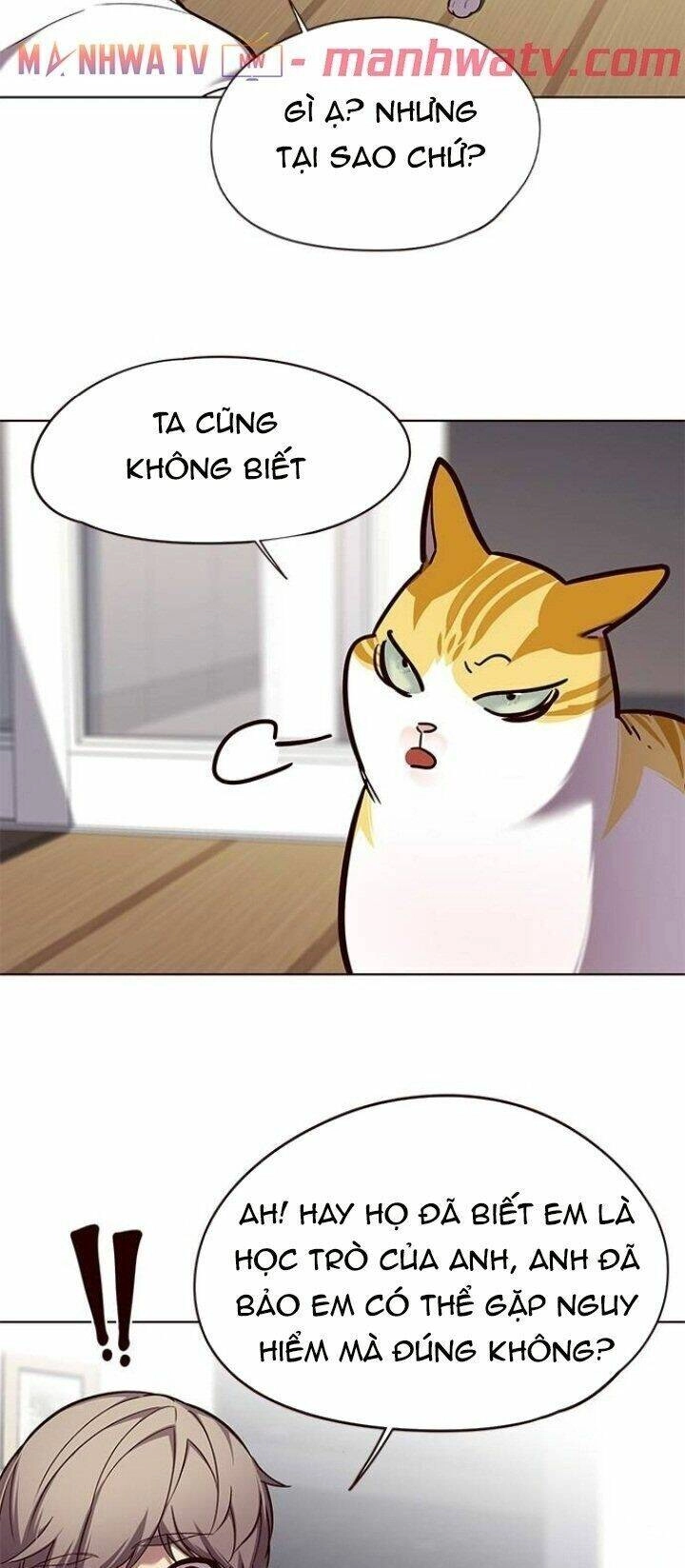 Hoá Thân Thành Mèo Chapter 105 - 16