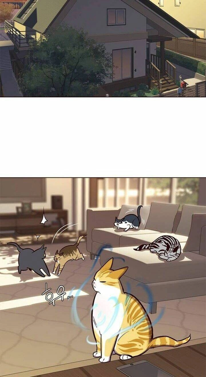 Hoá Thân Thành Mèo Chapter 106 - 47