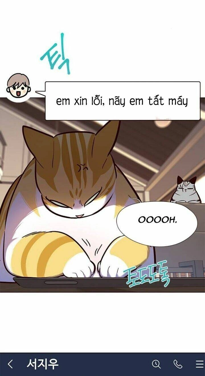 Hoá Thân Thành Mèo Chapter 106 - 49