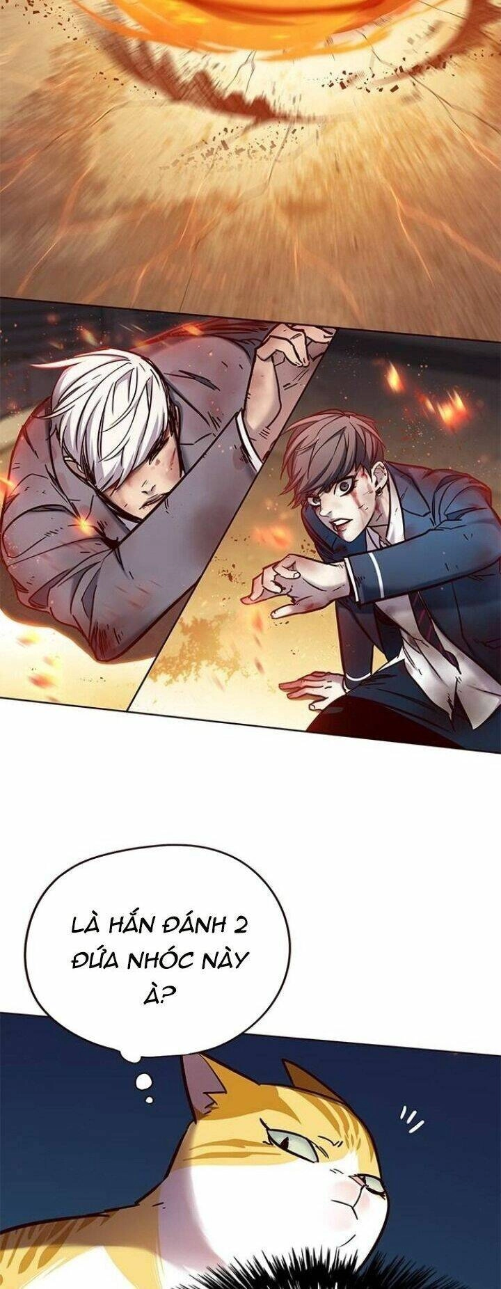 Hoá Thân Thành Mèo Chapter 110 - 47