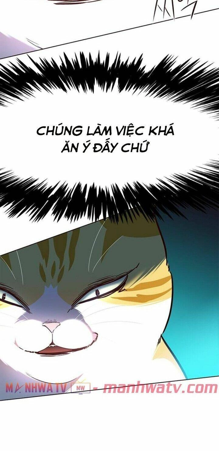 Hoá Thân Thành Mèo Chapter 110 - 80