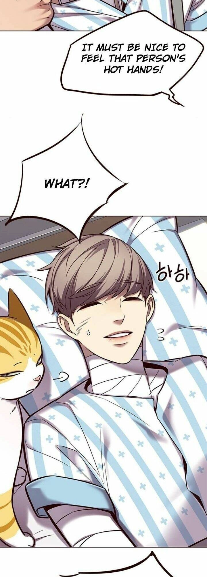 Hoá Thân Thành Mèo Chapter 113 - 38