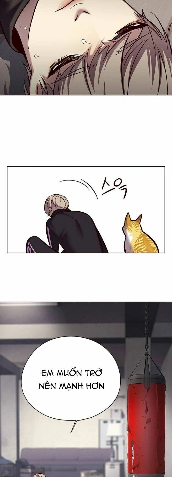 Hoá Thân Thành Mèo Chapter 116 - 6