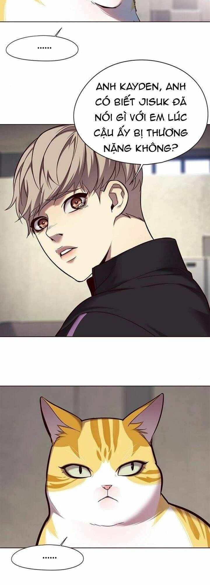 Hoá Thân Thành Mèo Chapter 116 - 11