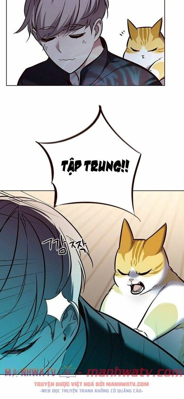 Hoá Thân Thành Mèo Chapter 116 - 25