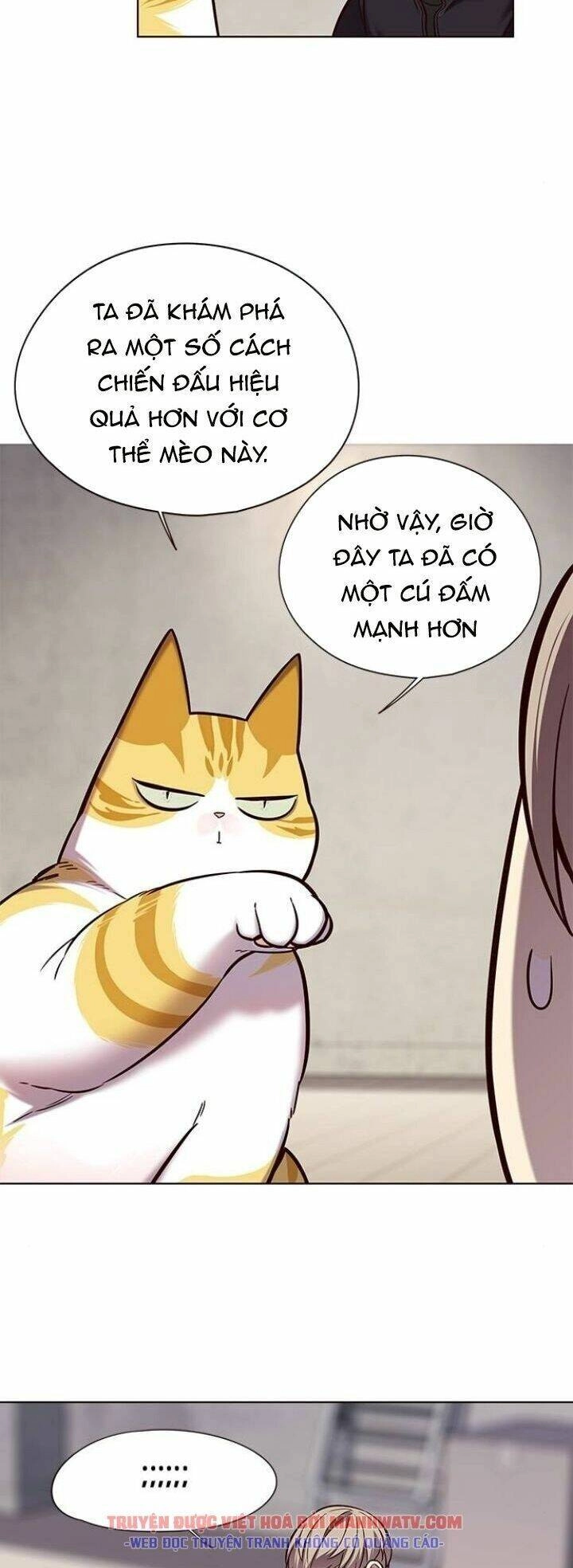 Hoá Thân Thành Mèo Chapter 116 - 35