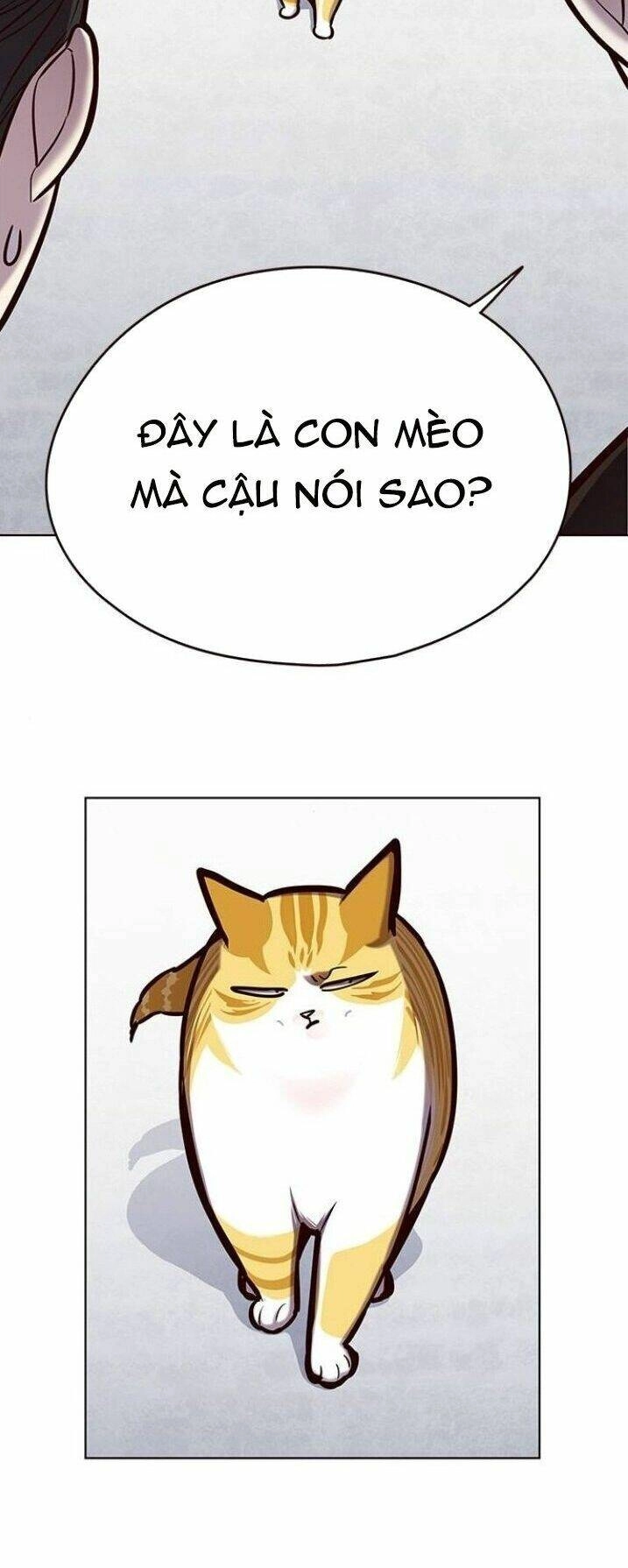 Hoá Thân Thành Mèo Chapter 119 - 49