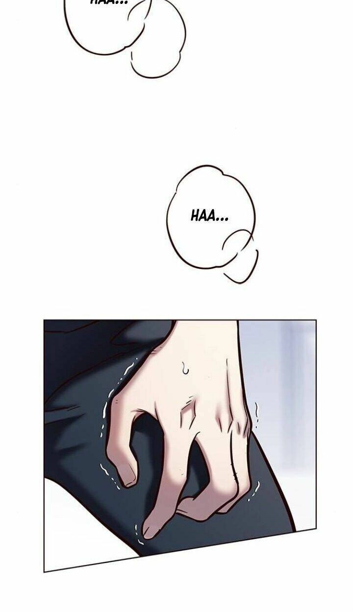 Hoá Thân Thành Mèo Chapter 120 - 30