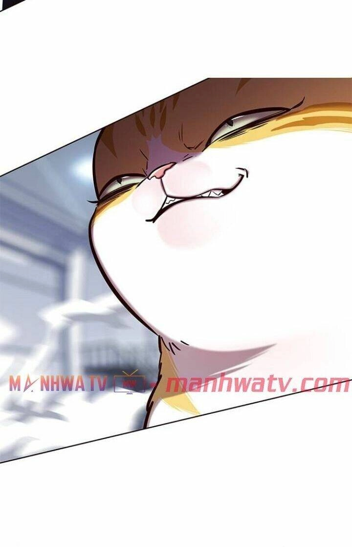 Hoá Thân Thành Mèo Chapter 120 - 78