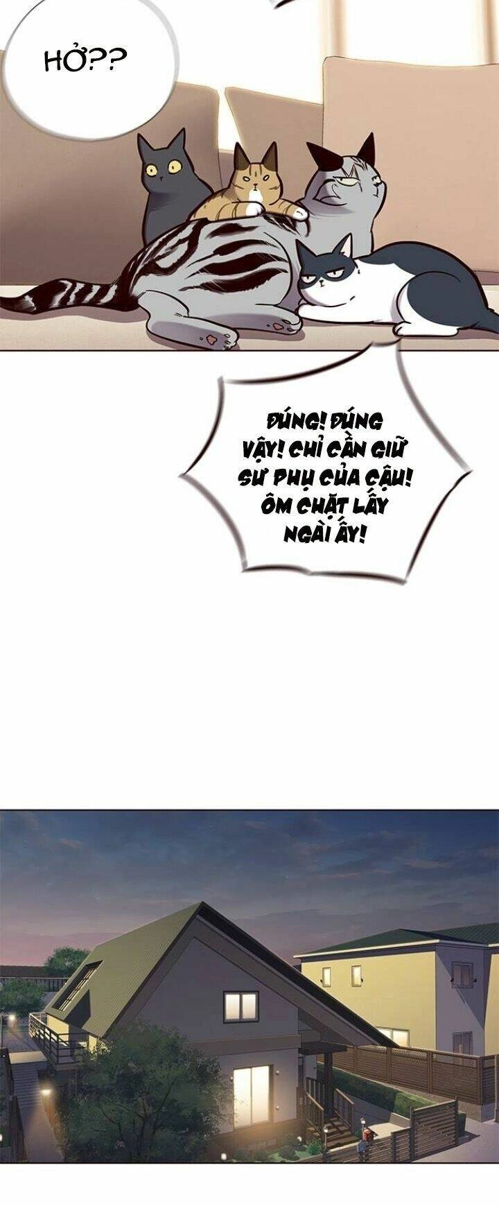 Hoá Thân Thành Mèo Chapter 123 - 44