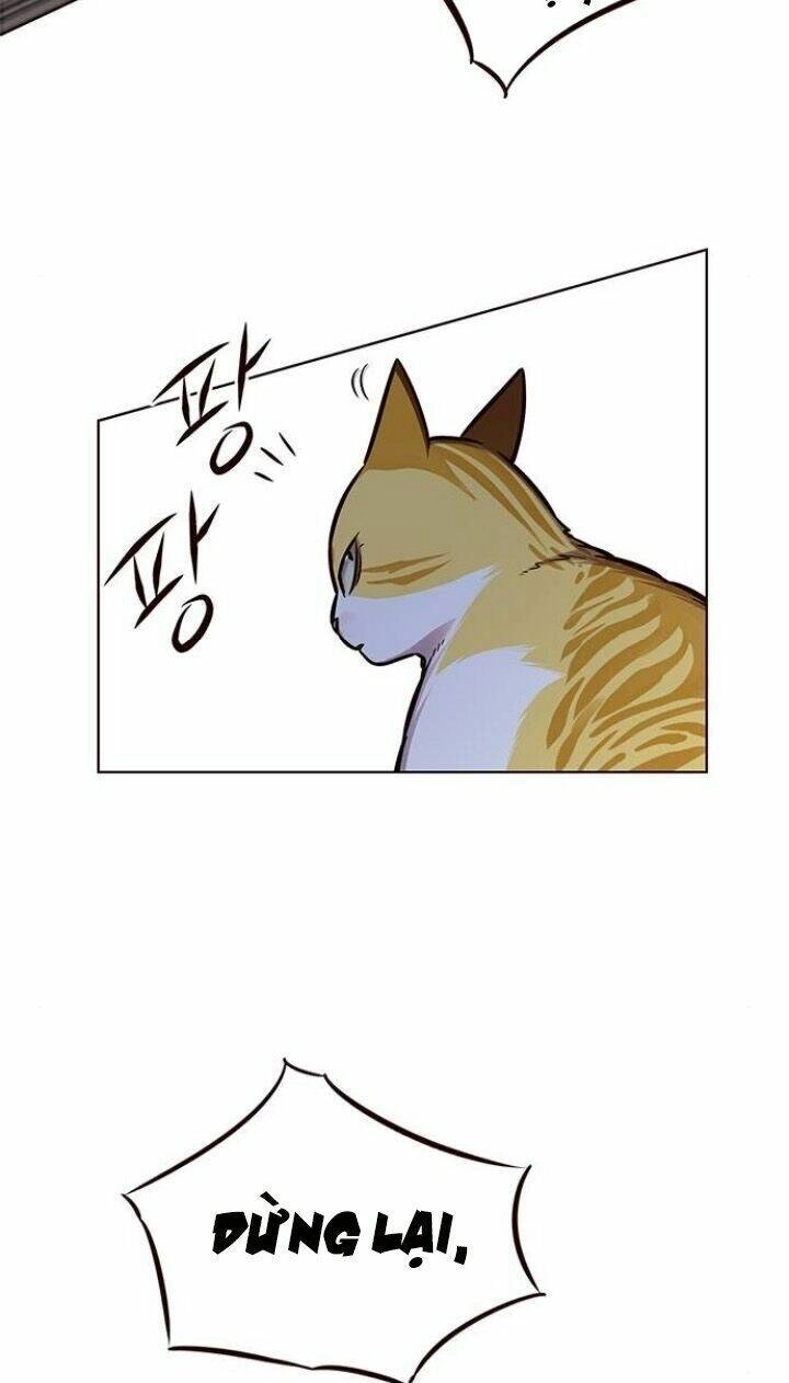 Hoá Thân Thành Mèo Chapter 124 - 9