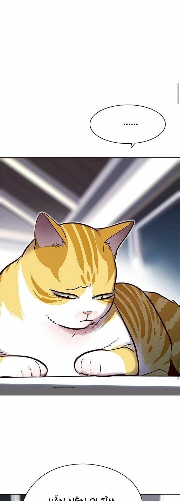 Hoá Thân Thành Mèo Chapter 125 - 63