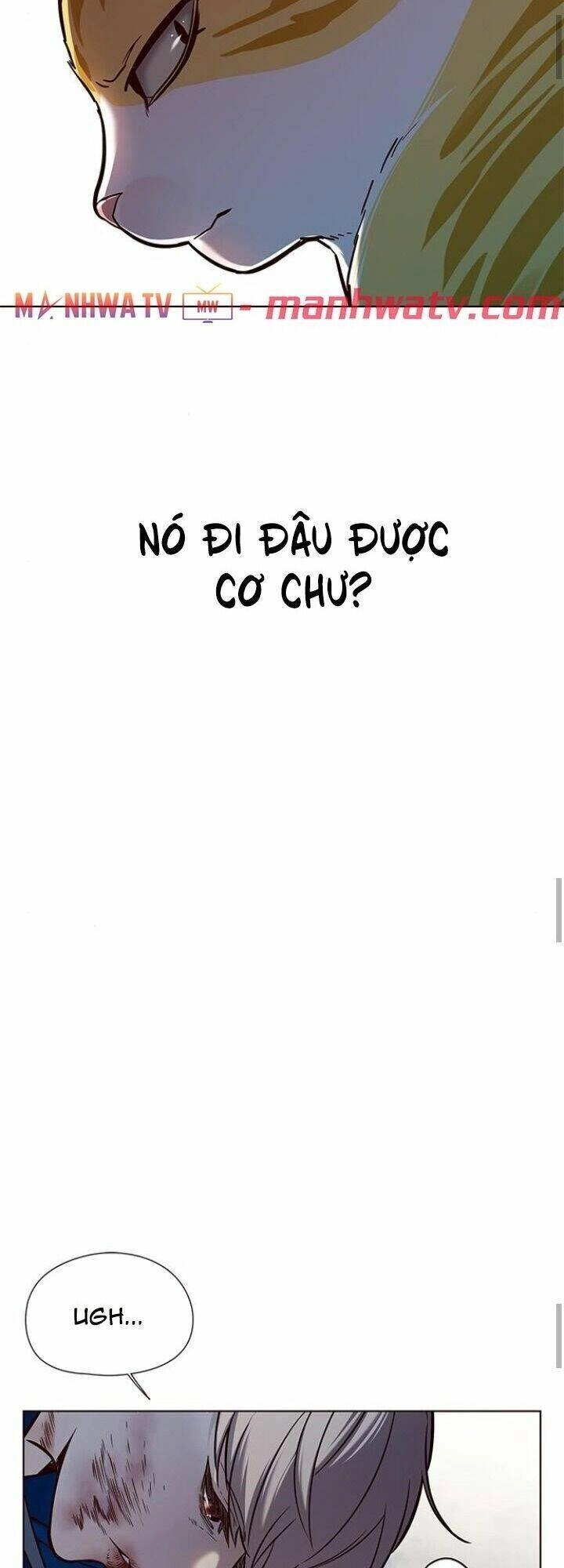 Hoá Thân Thành Mèo Chapter 125 - 69