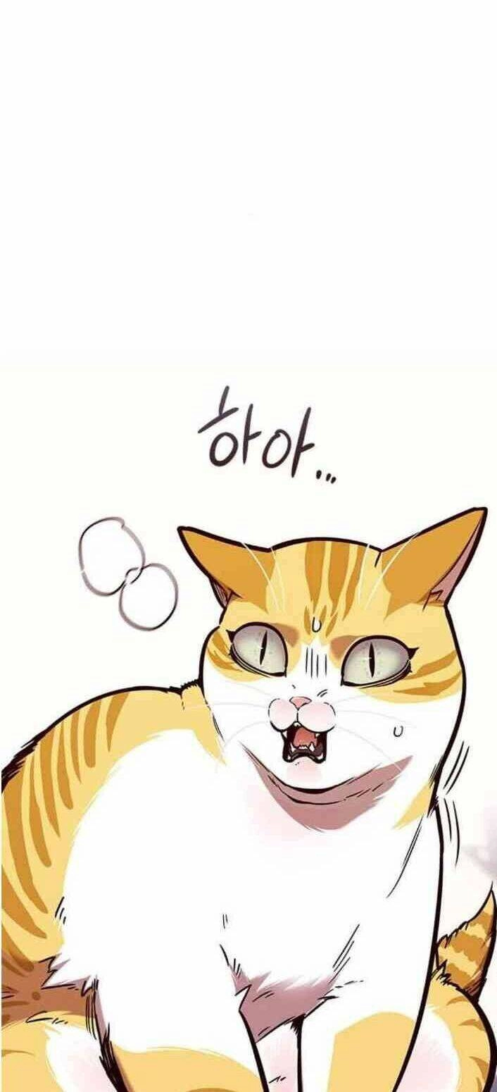 Hoá Thân Thành Mèo Chapter 138 - 72