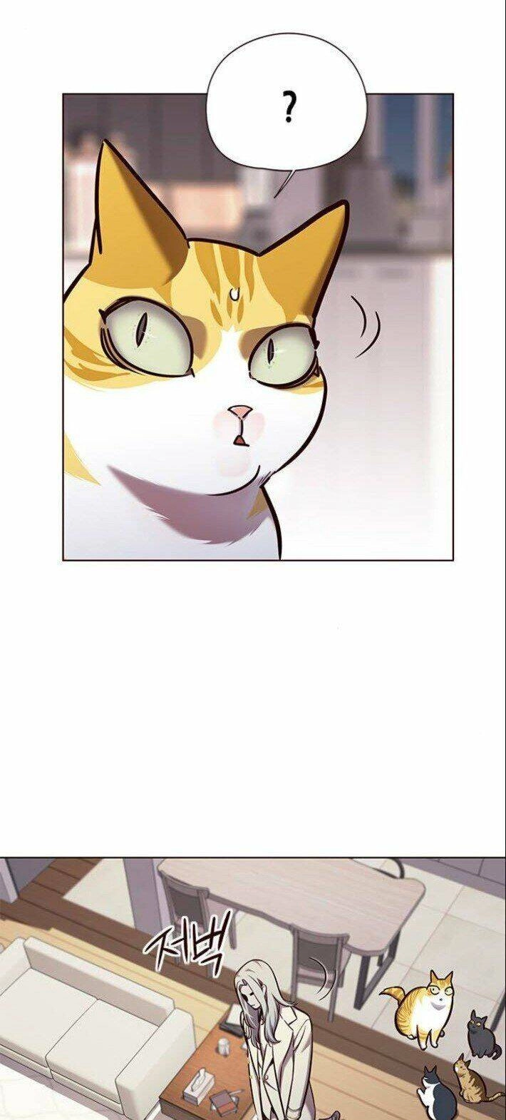 Hoá Thân Thành Mèo Chapter 139 - 6