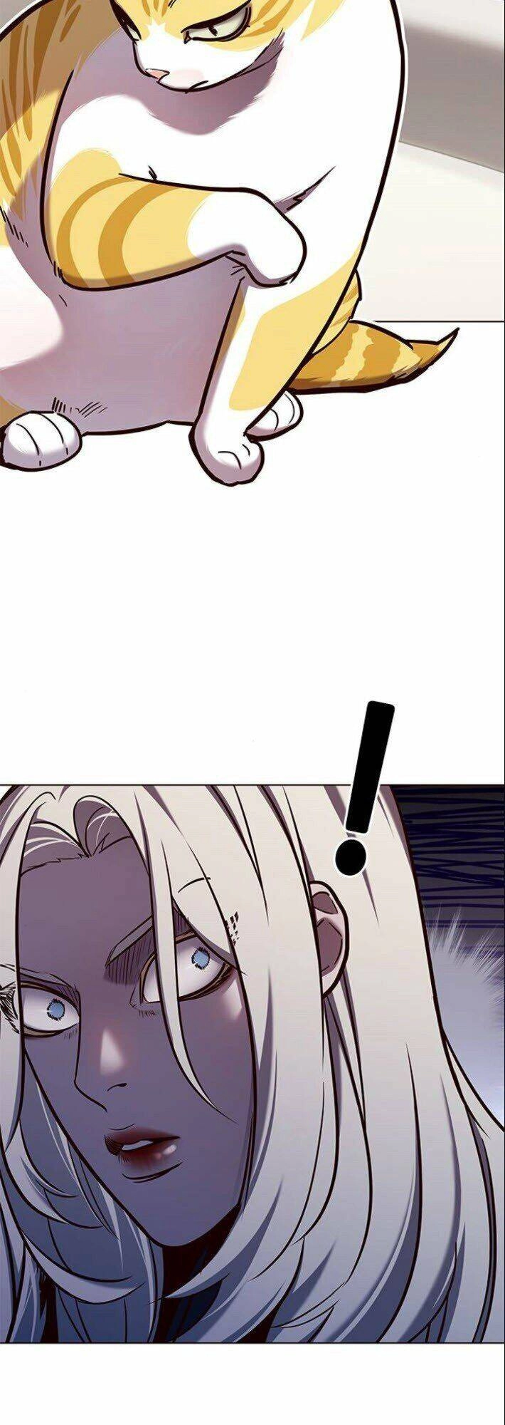 Hoá Thân Thành Mèo Chapter 139 - 14