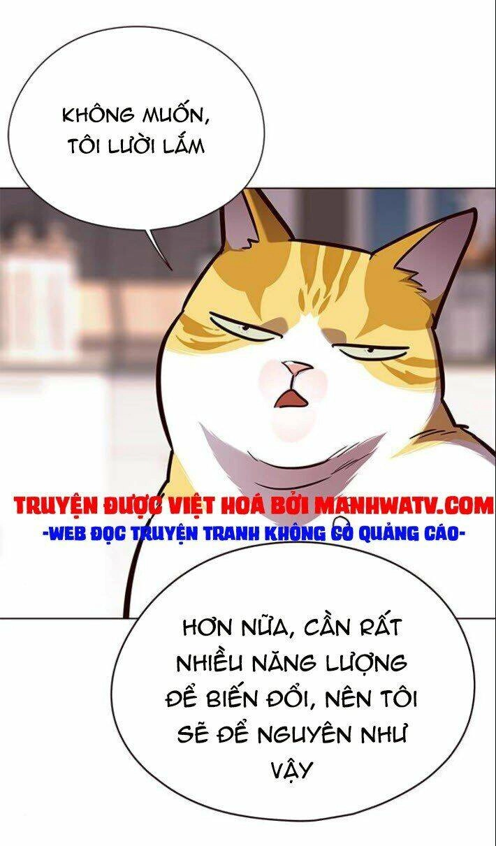 Hoá Thân Thành Mèo Chapter 139 - 19