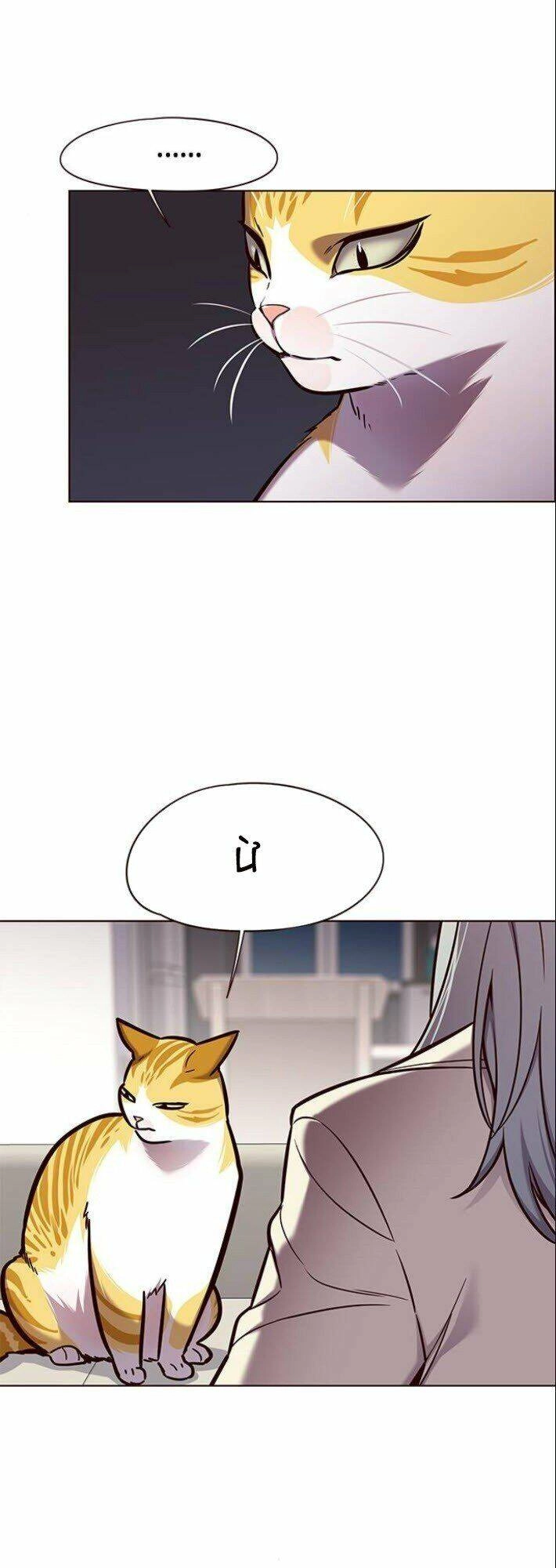 Hoá Thân Thành Mèo Chapter 139 - 35