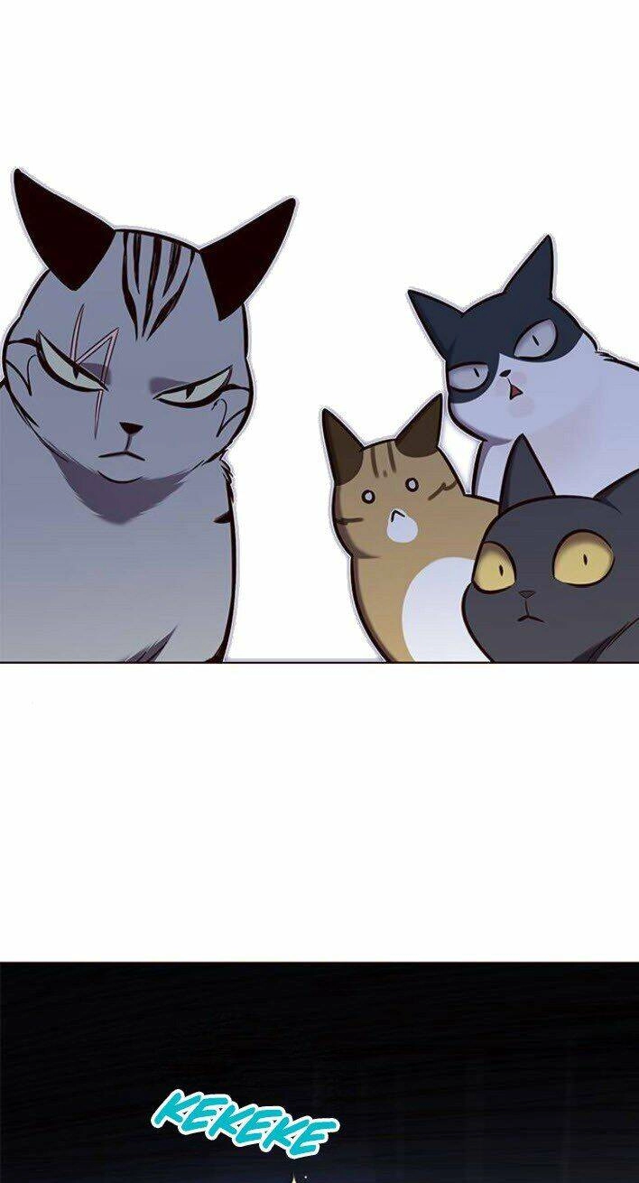 Hoá Thân Thành Mèo Chapter 139 - 56