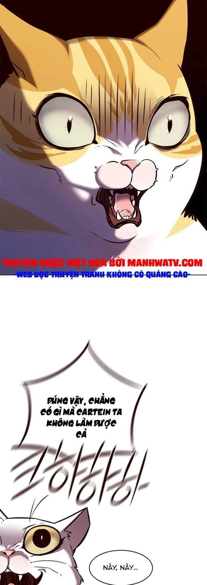 Hoá Thân Thành Mèo Chapter 141 - 70