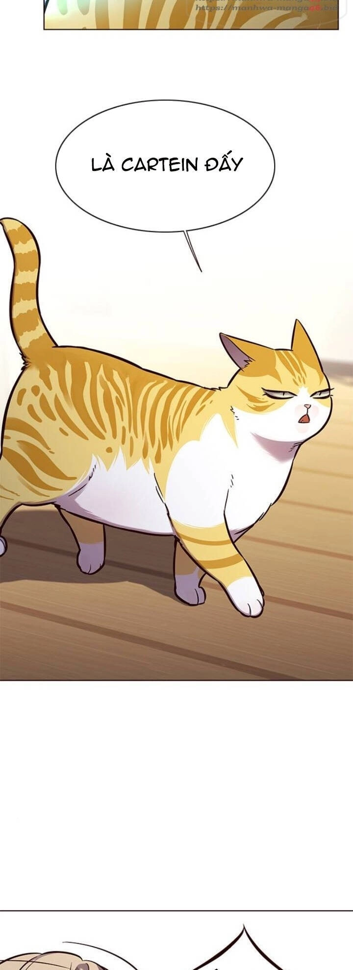 Hoá Thân Thành Mèo Chapter 143 - 17