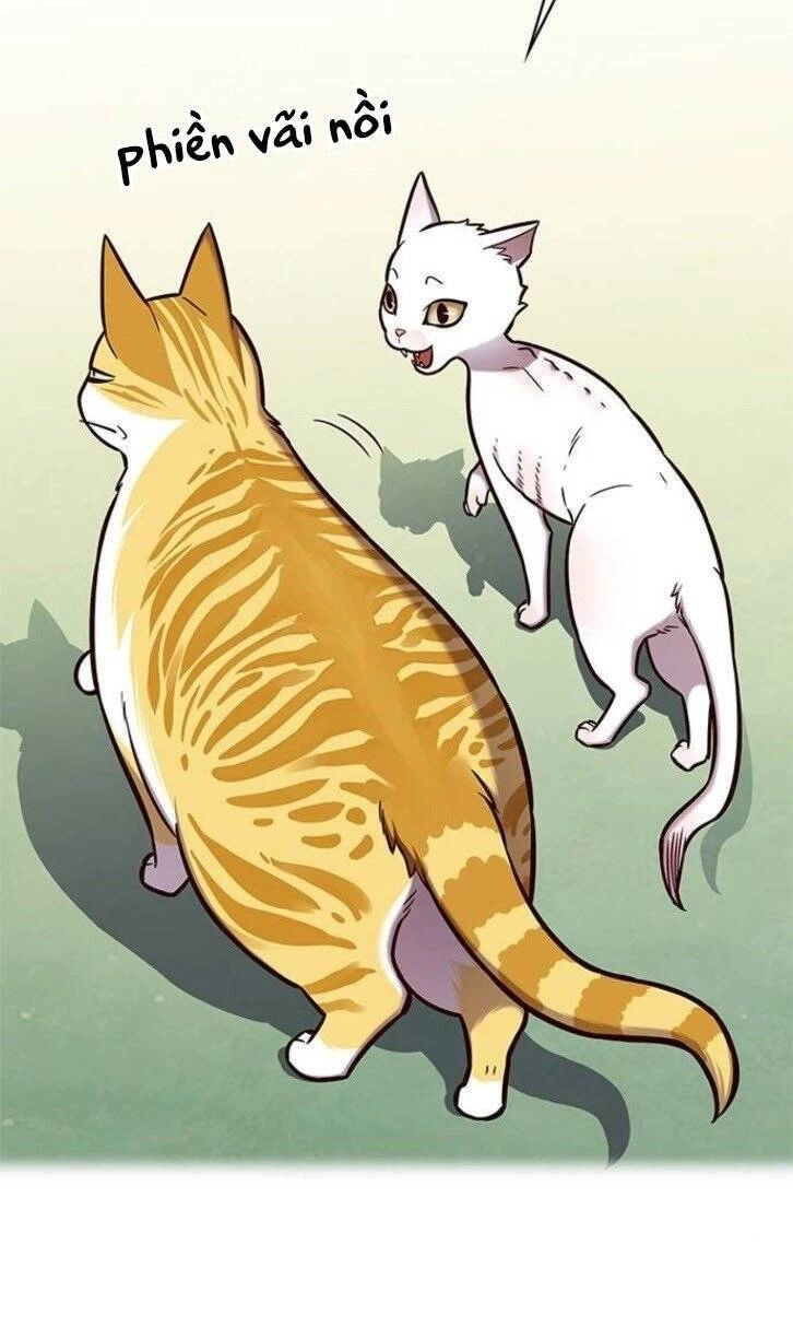 Hoá Thân Thành Mèo Chapter 145 - 51